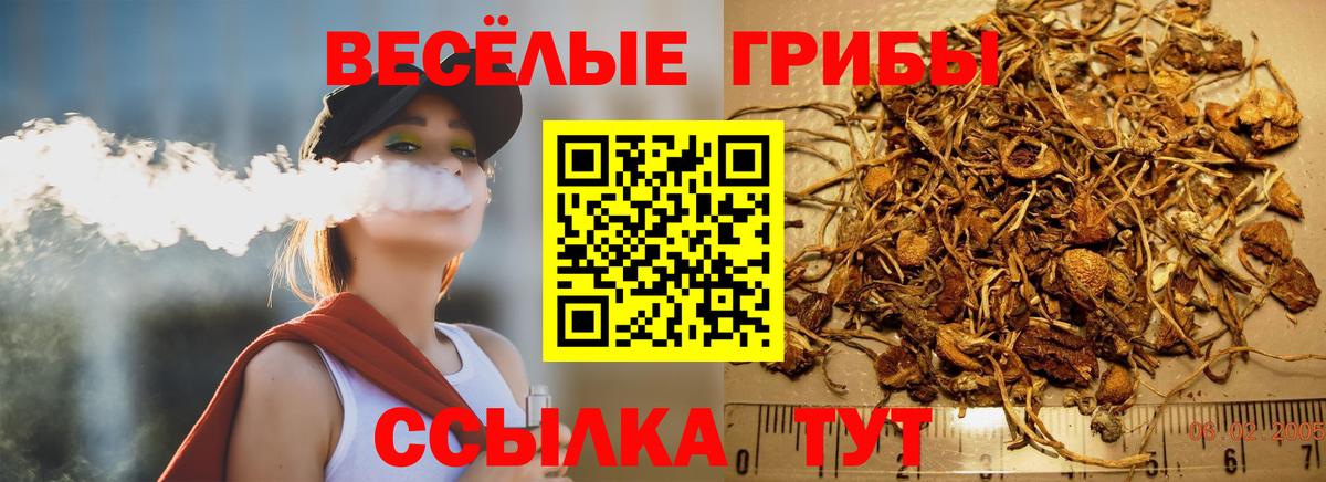 Псилоцибиновые грибы мицелий  Вход с VPN  Галлюциногенные грибы MAGIC MUSHROOMS  Выборг 