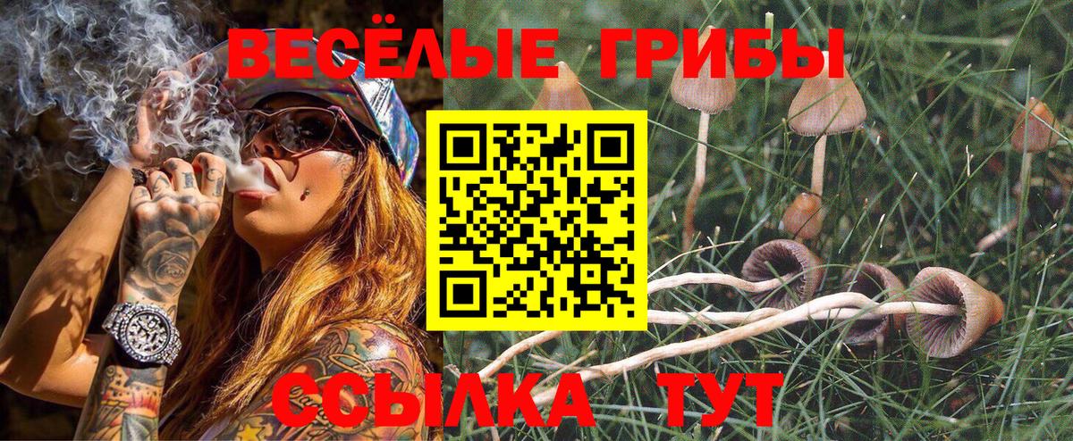 Галлюциногенные грибы мухоморы Выборг