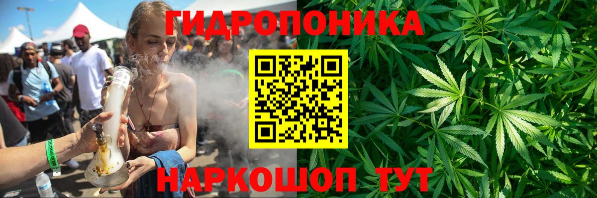 Шишки марихуана OG Kush  Шишки марихуана SATIVA & INDICA  Бошки марихуана AK-47  Вход с VPN  Выборг  Шишки марихуана конопля 